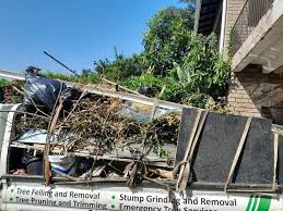 Best Residential Junk Removal  in Canadian, TX